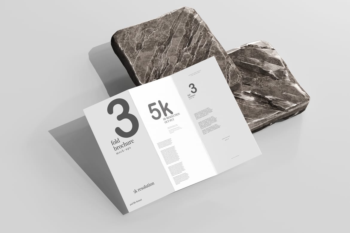 Tri Fold DL Brochure Mockups