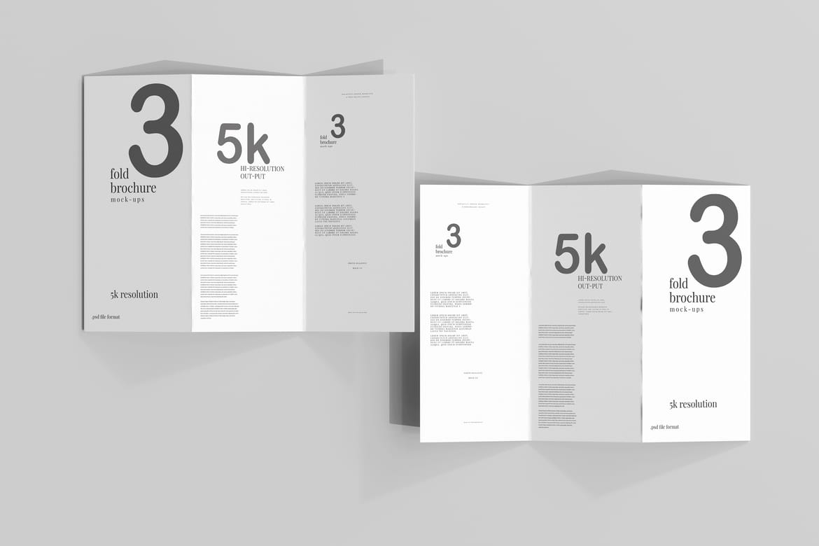 Tri Fold DL Brochure Mockups