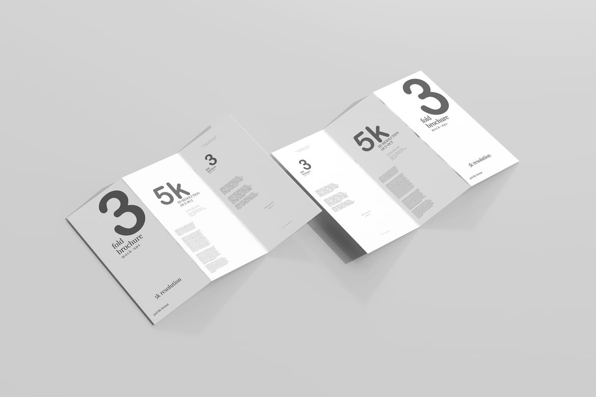 Tri Fold DL Brochure Mockups