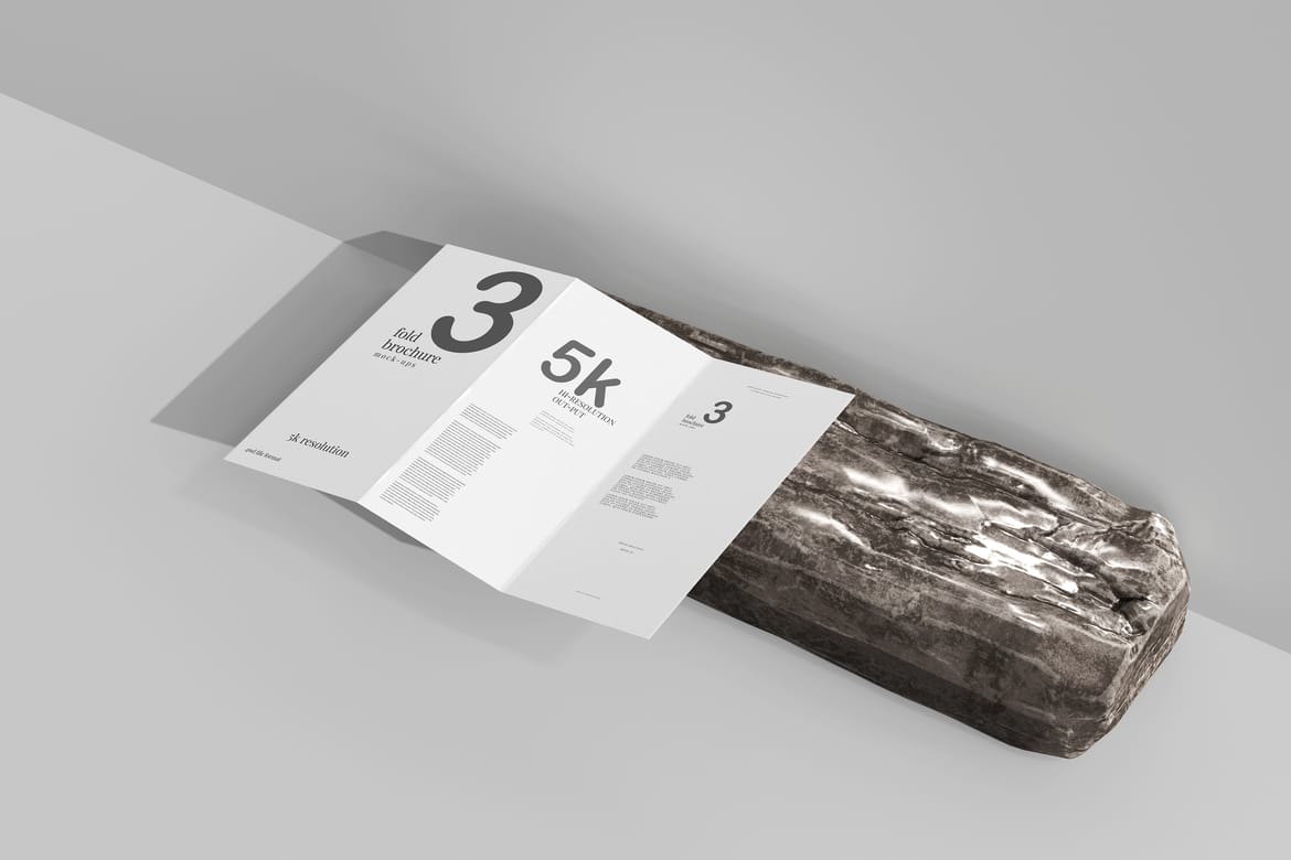 Tri Fold DL Brochure Mockups