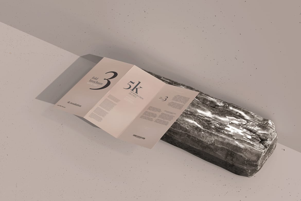 Tri Fold DL Brochure Mockups