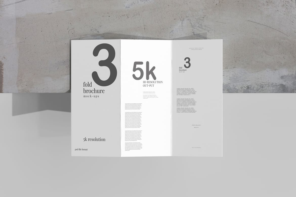 Tri Fold DL Brochure Mockups
