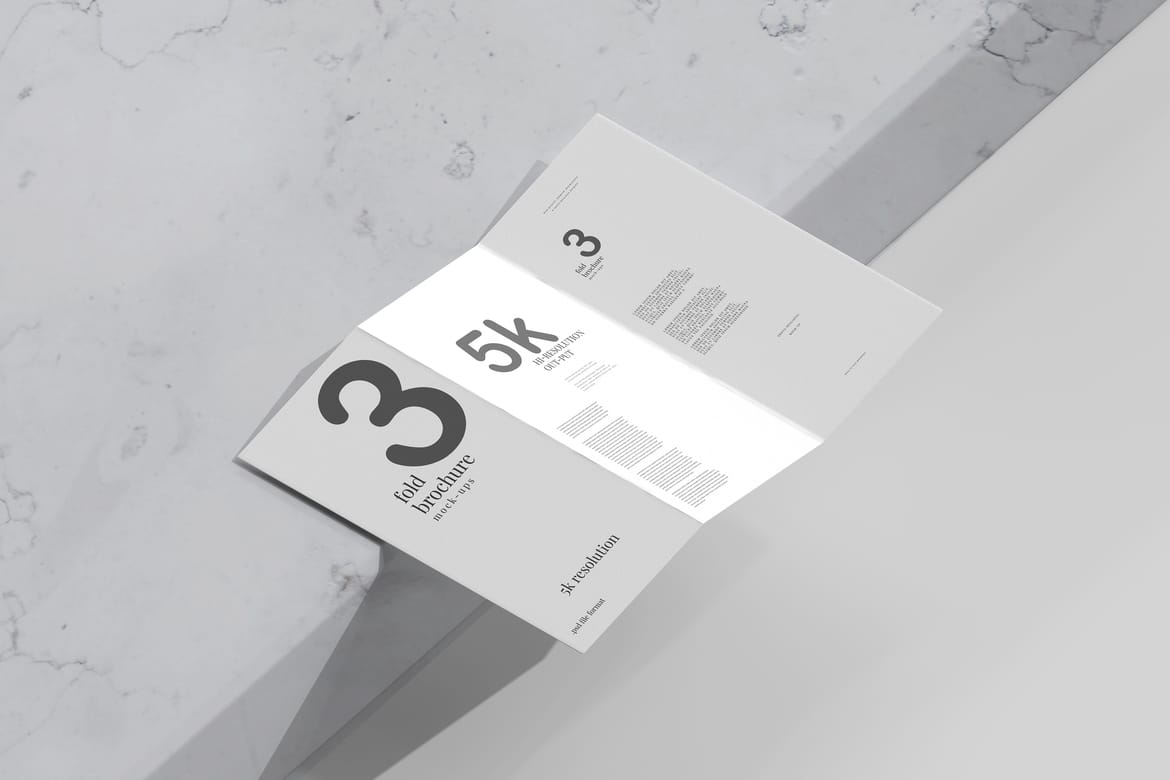 Tri Fold DL Brochure Mockups