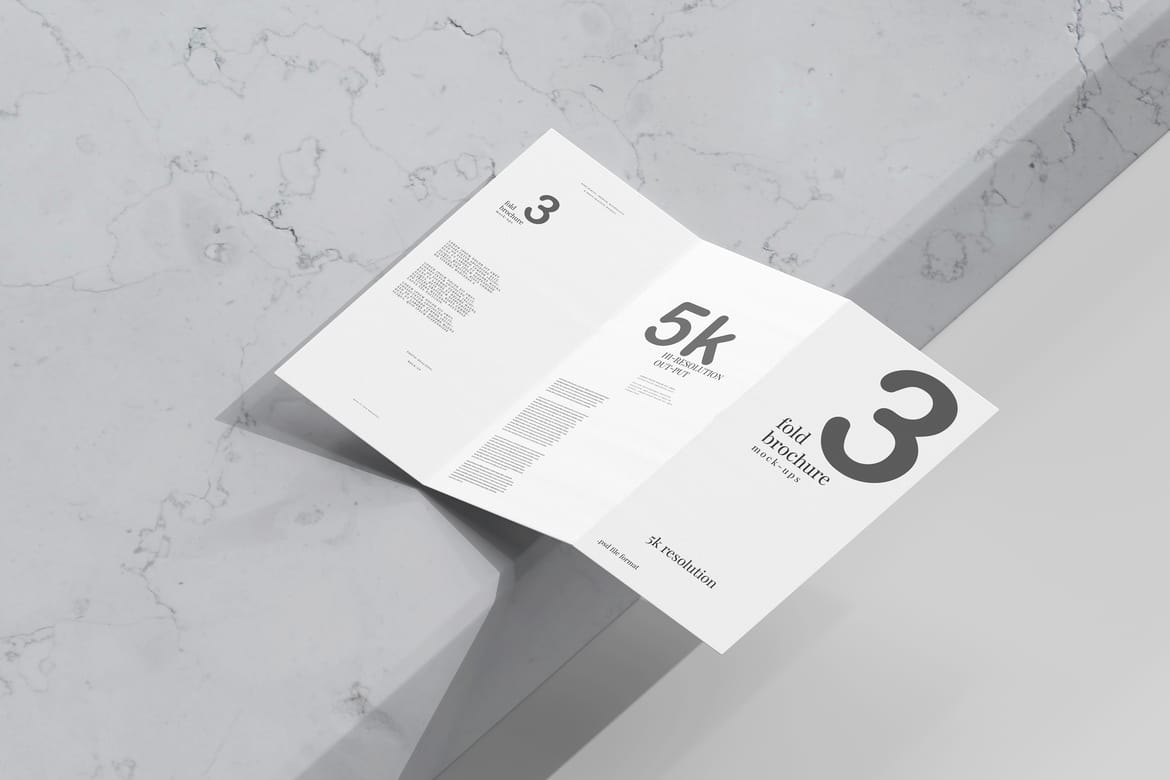 Tri Fold DL Brochure Mockups