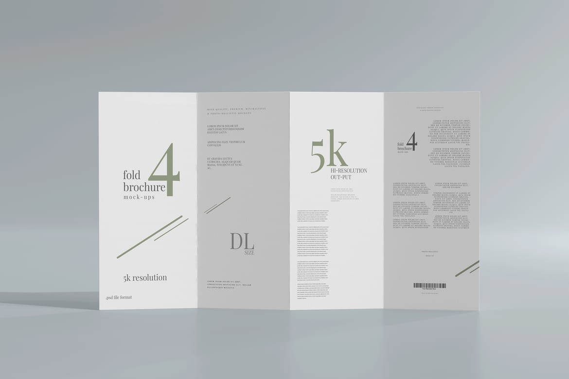 Four Fold DL Brochure Mockups