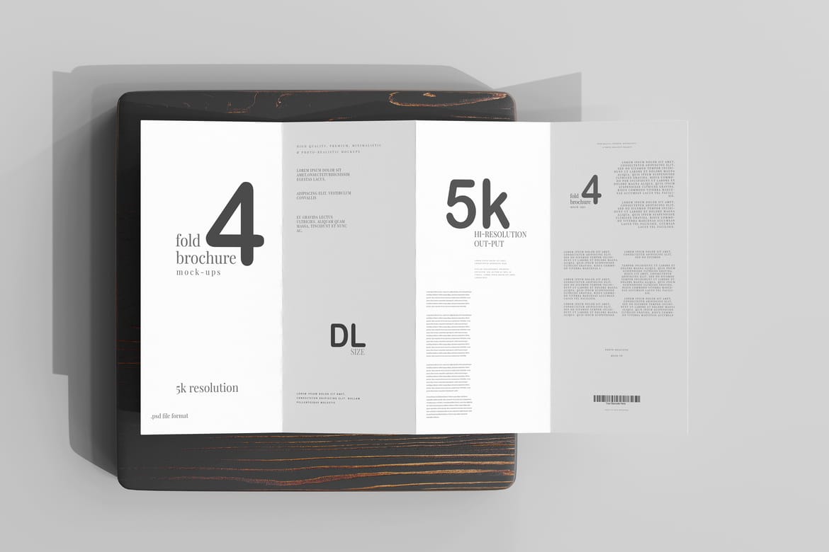 Four Fold DL Brochure Mockups