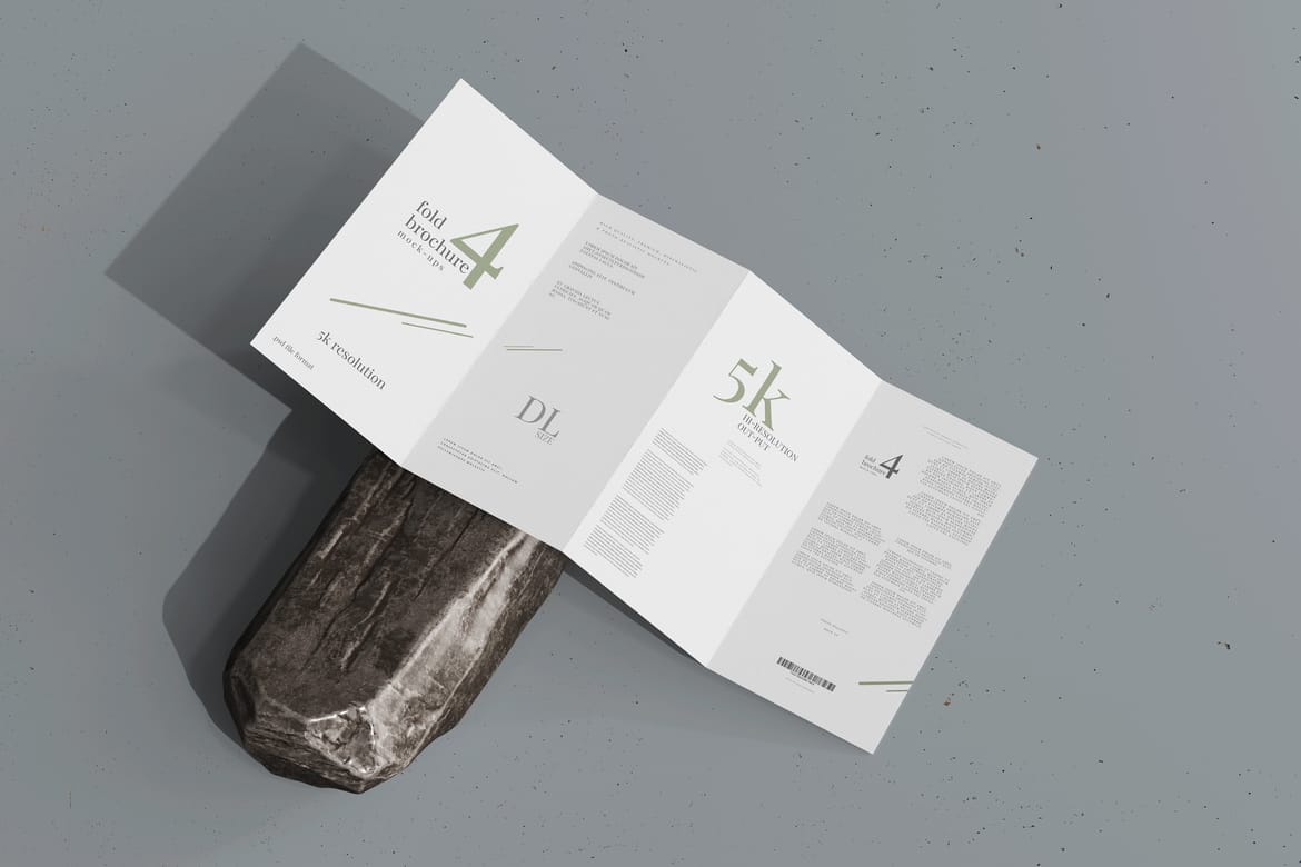 Four Fold DL Brochure Mockups