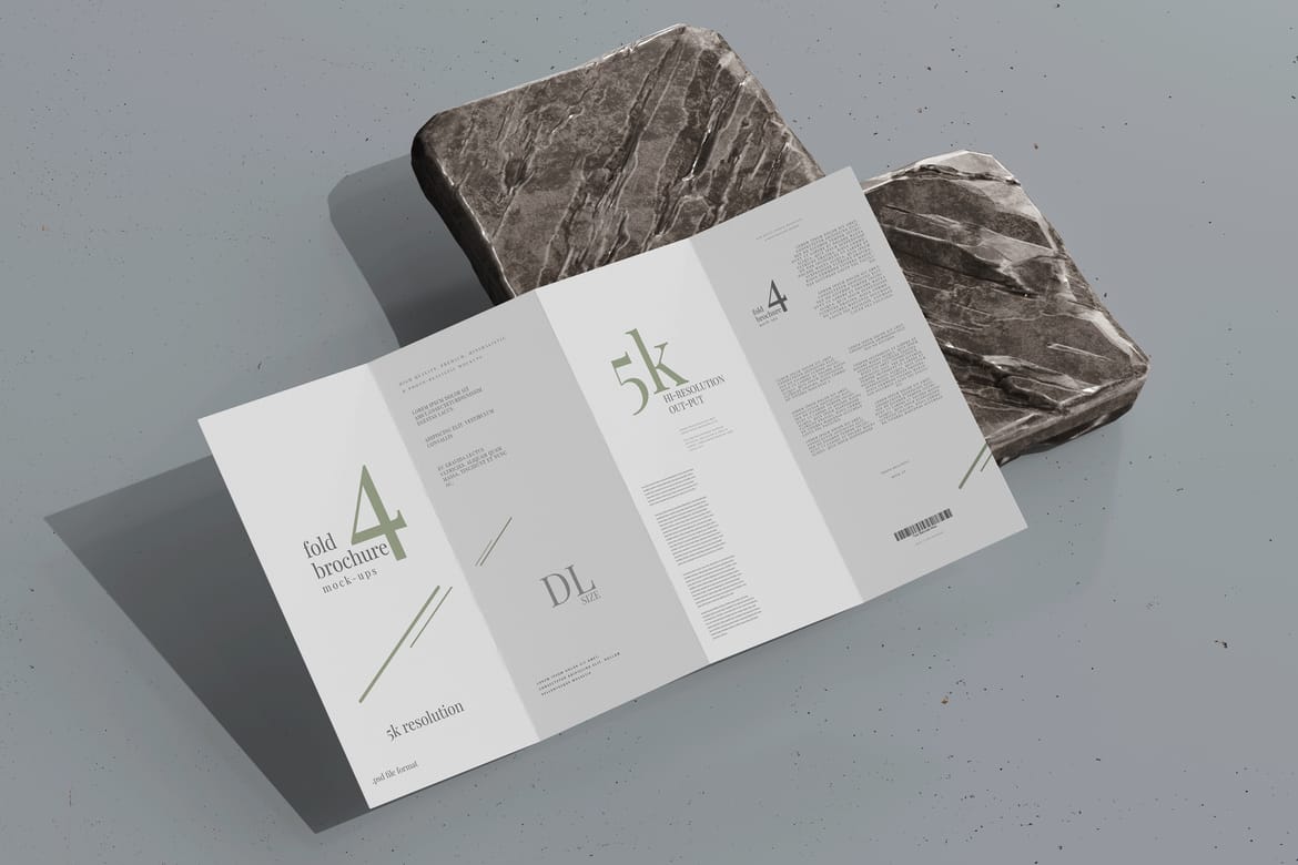 Four Fold DL Brochure Mockups