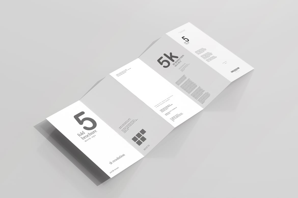 Five Fold DL Brochure Mockups