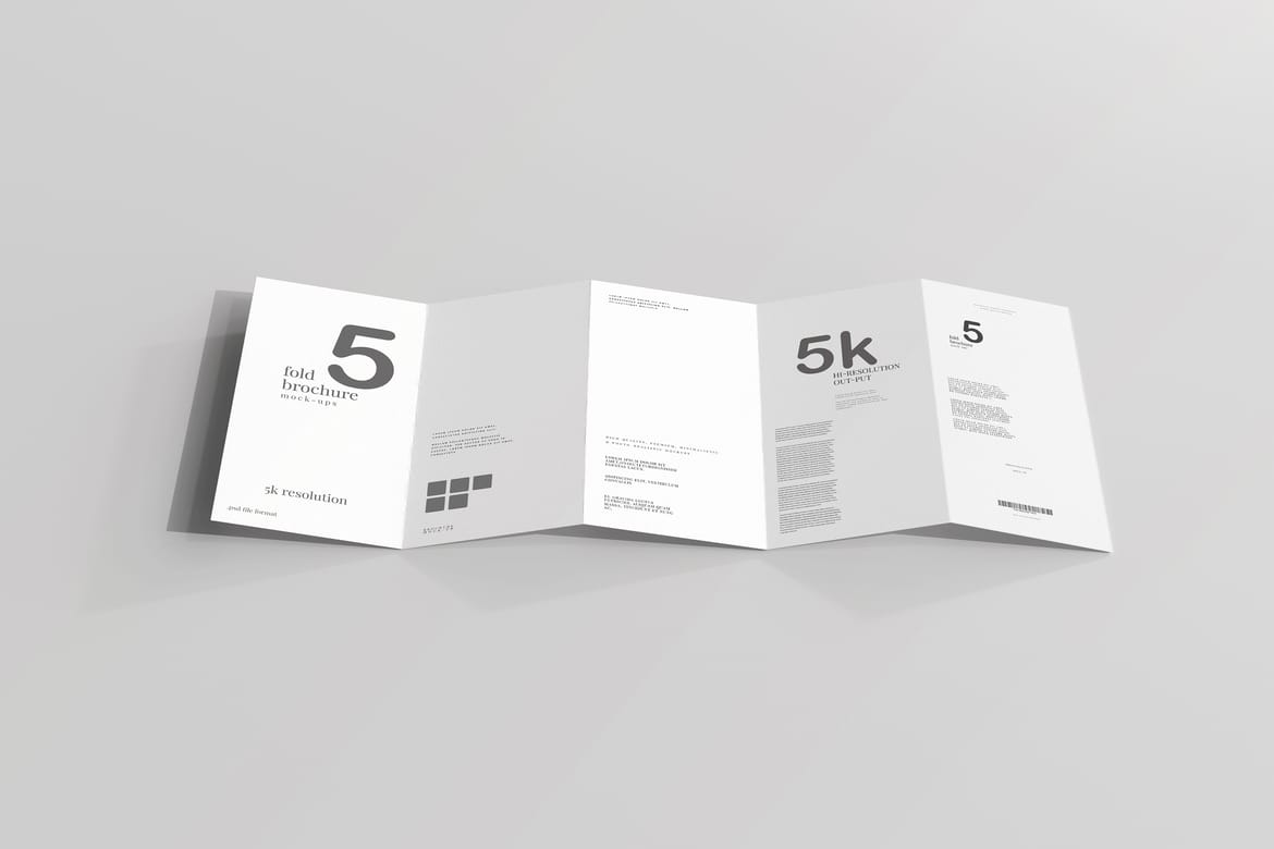 Five Fold DL Brochure Mockups