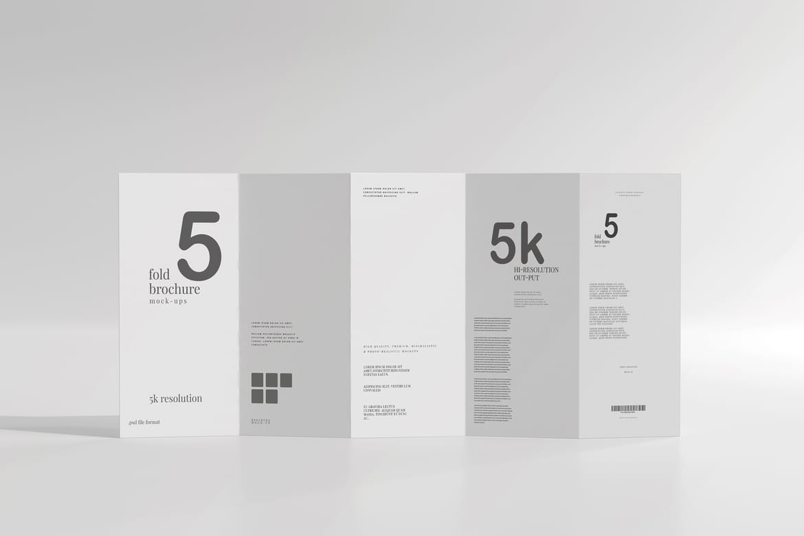 Five Fold DL Brochure Mockups