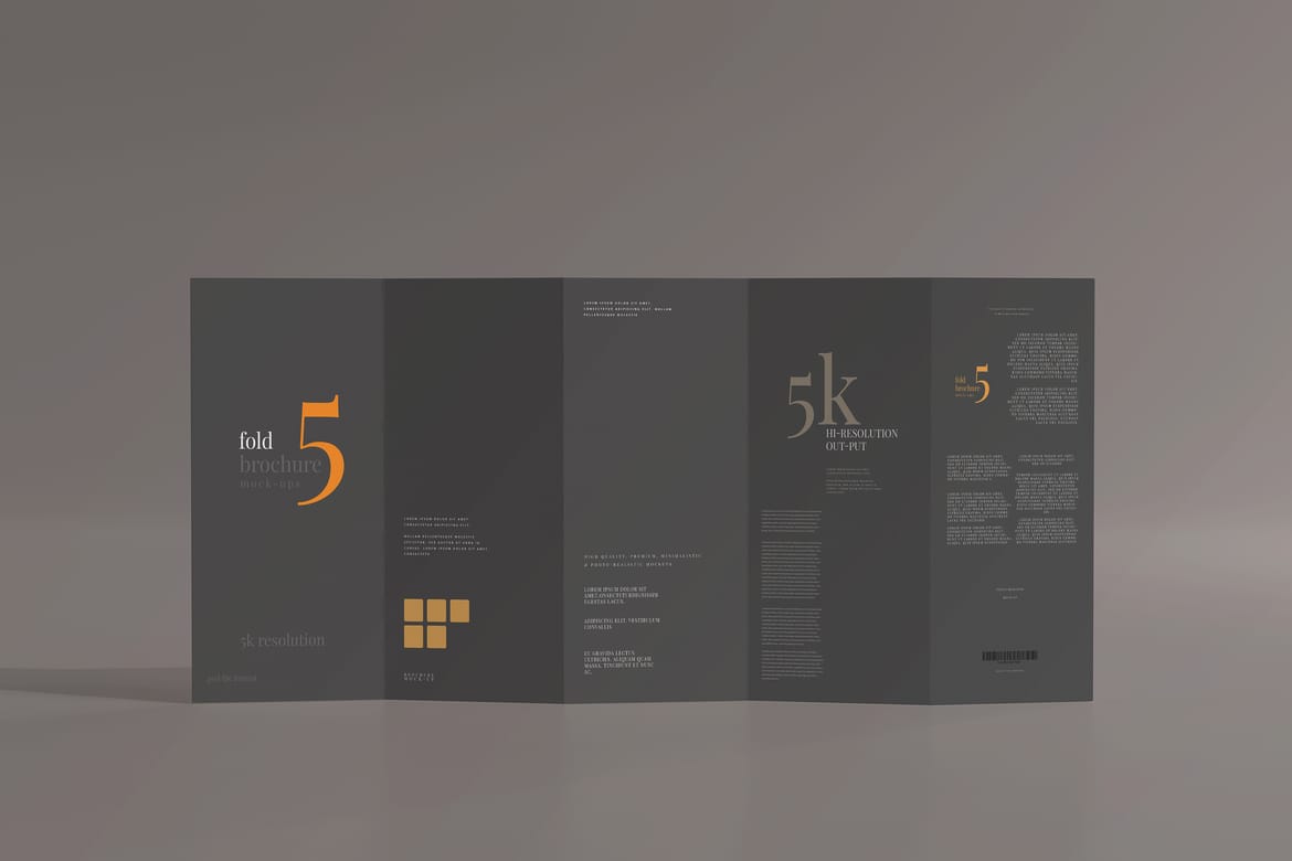 Five Fold DL Brochure Mockups