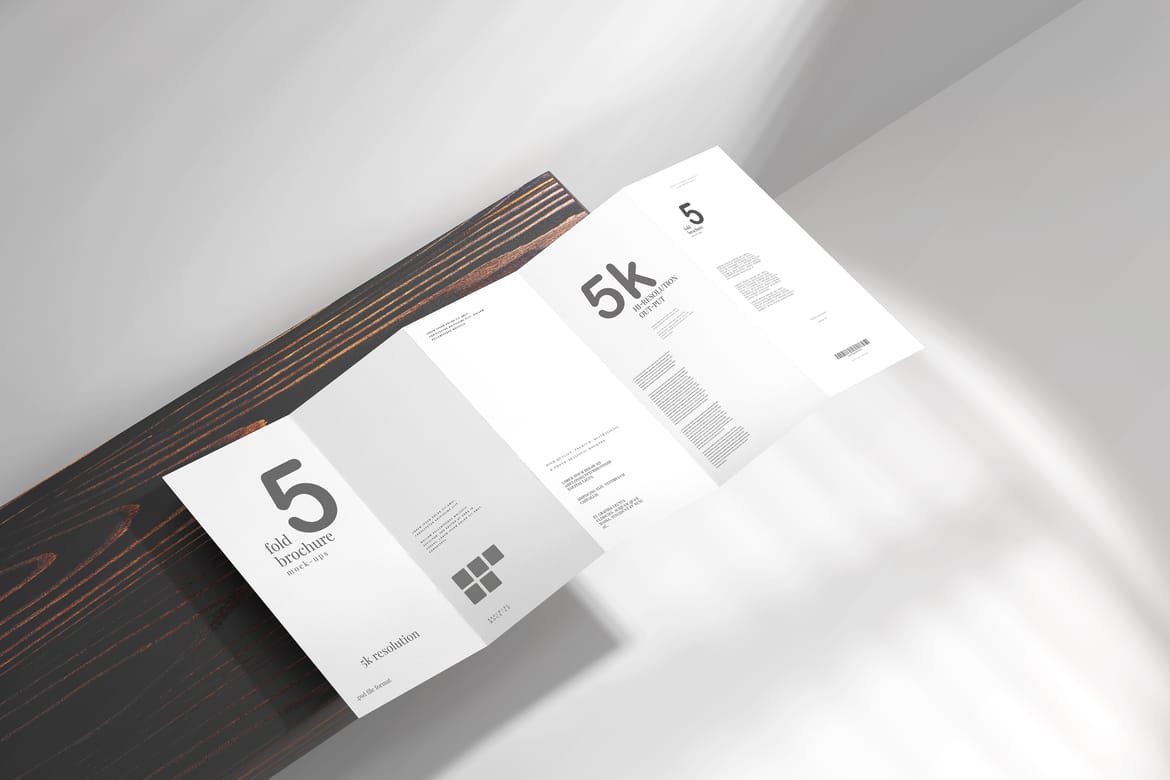 Five Fold DL Brochure Mockups