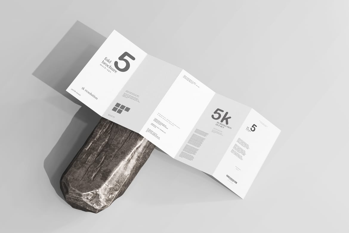 Five Fold DL Brochure Mockups