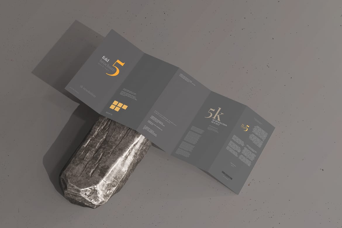 Five Fold DL Brochure Mockups