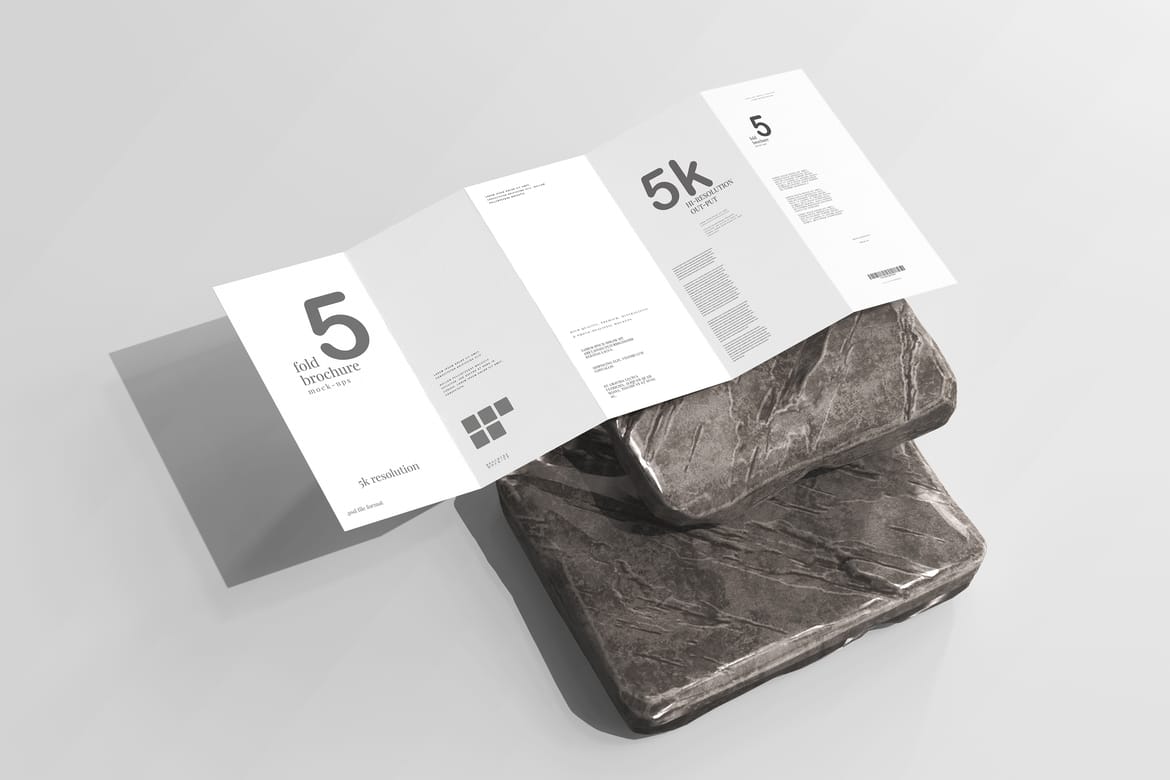 Five Fold DL Brochure Mockups