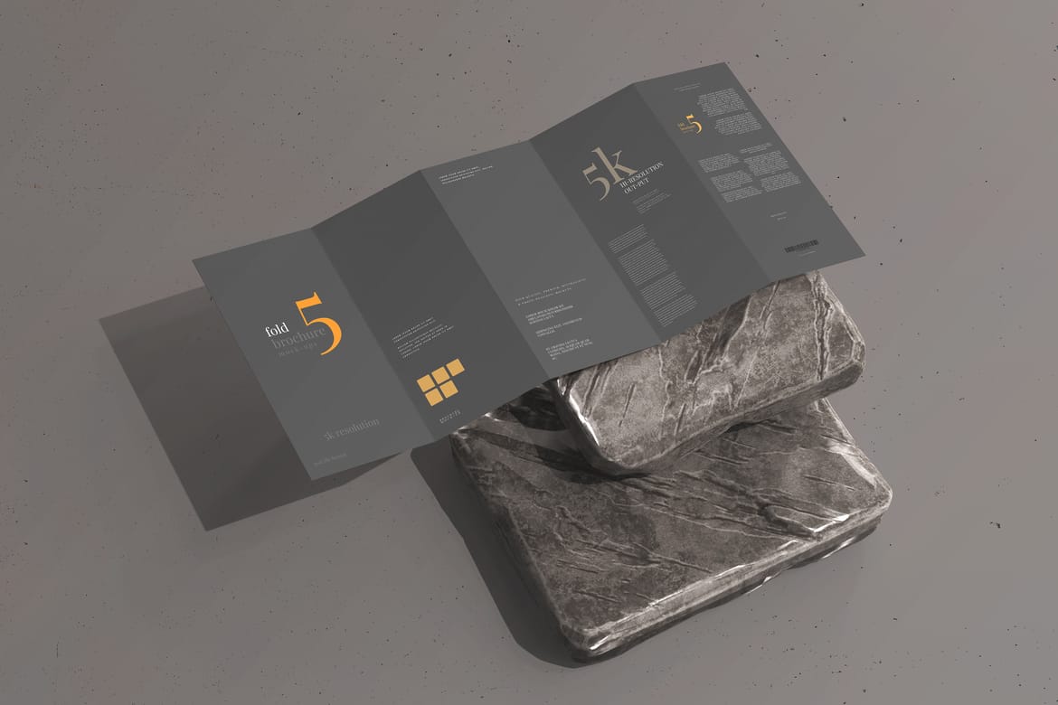 Five Fold DL Brochure Mockups