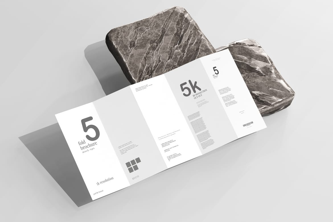Five Fold DL Brochure Mockups