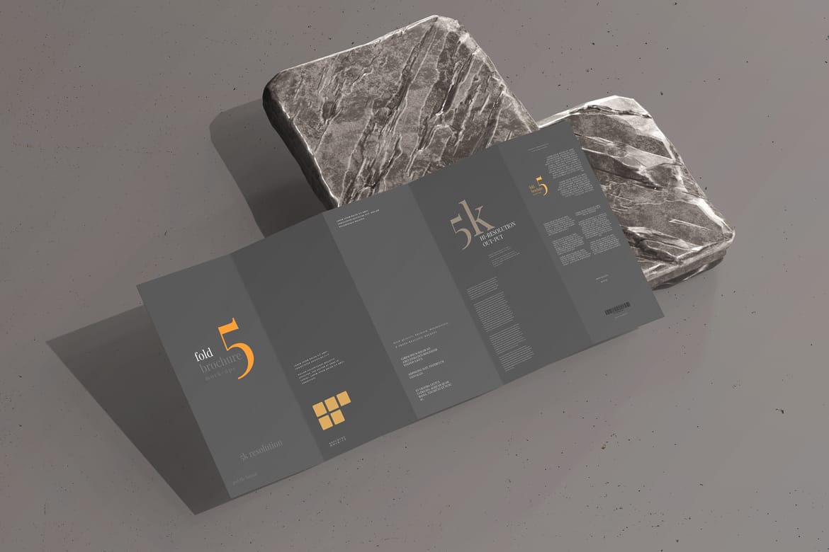 Five Fold DL Brochure Mockups