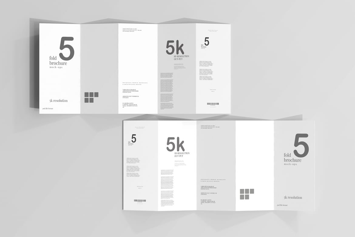 Five Fold DL Brochure Mockups