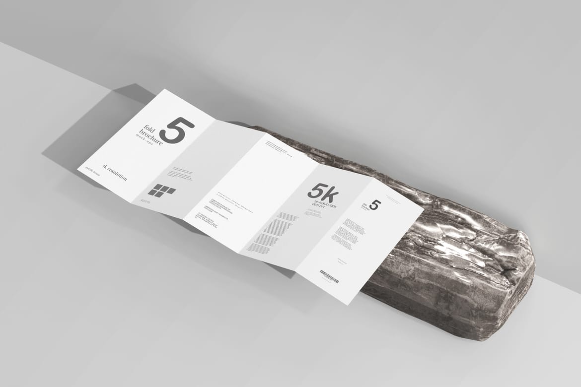 Five Fold DL Brochure Mockups