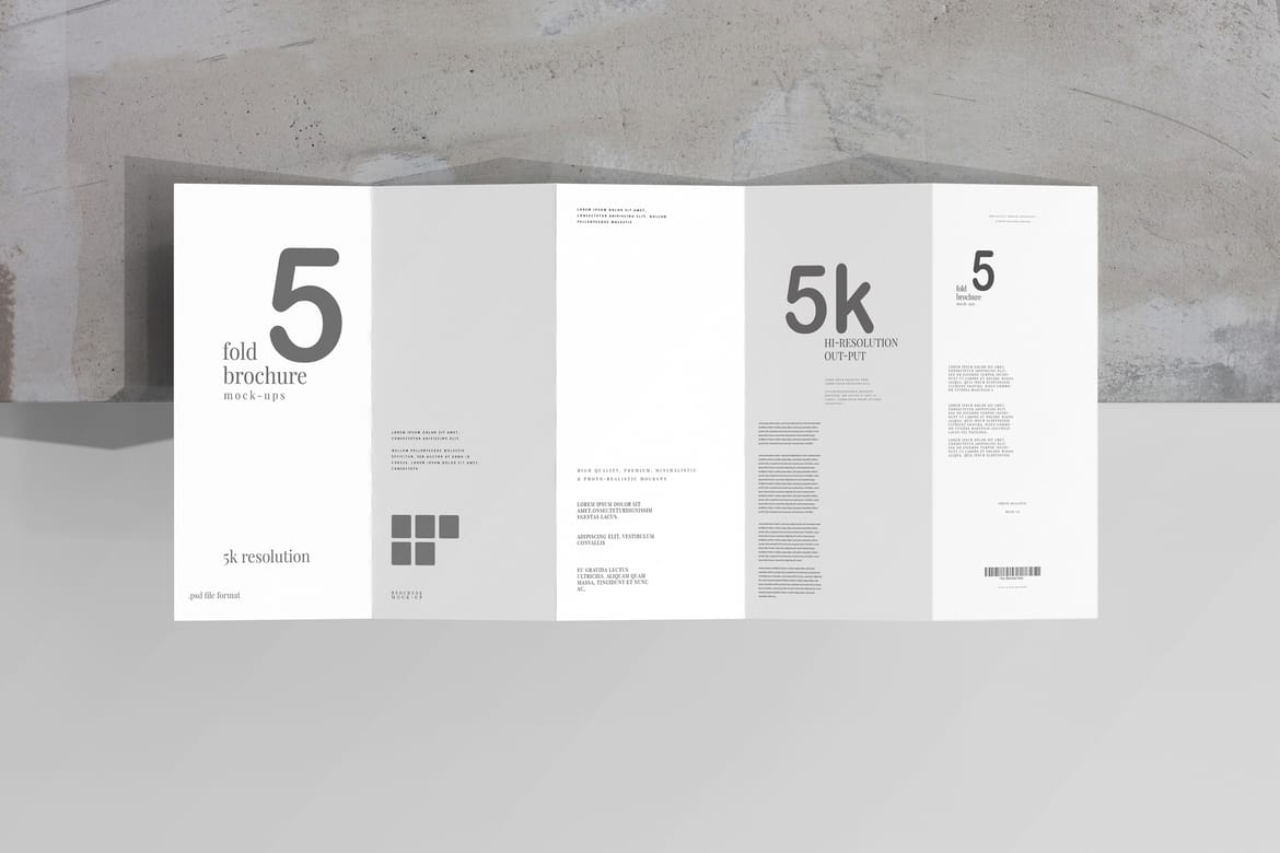 Five Fold DL Brochure Mockups