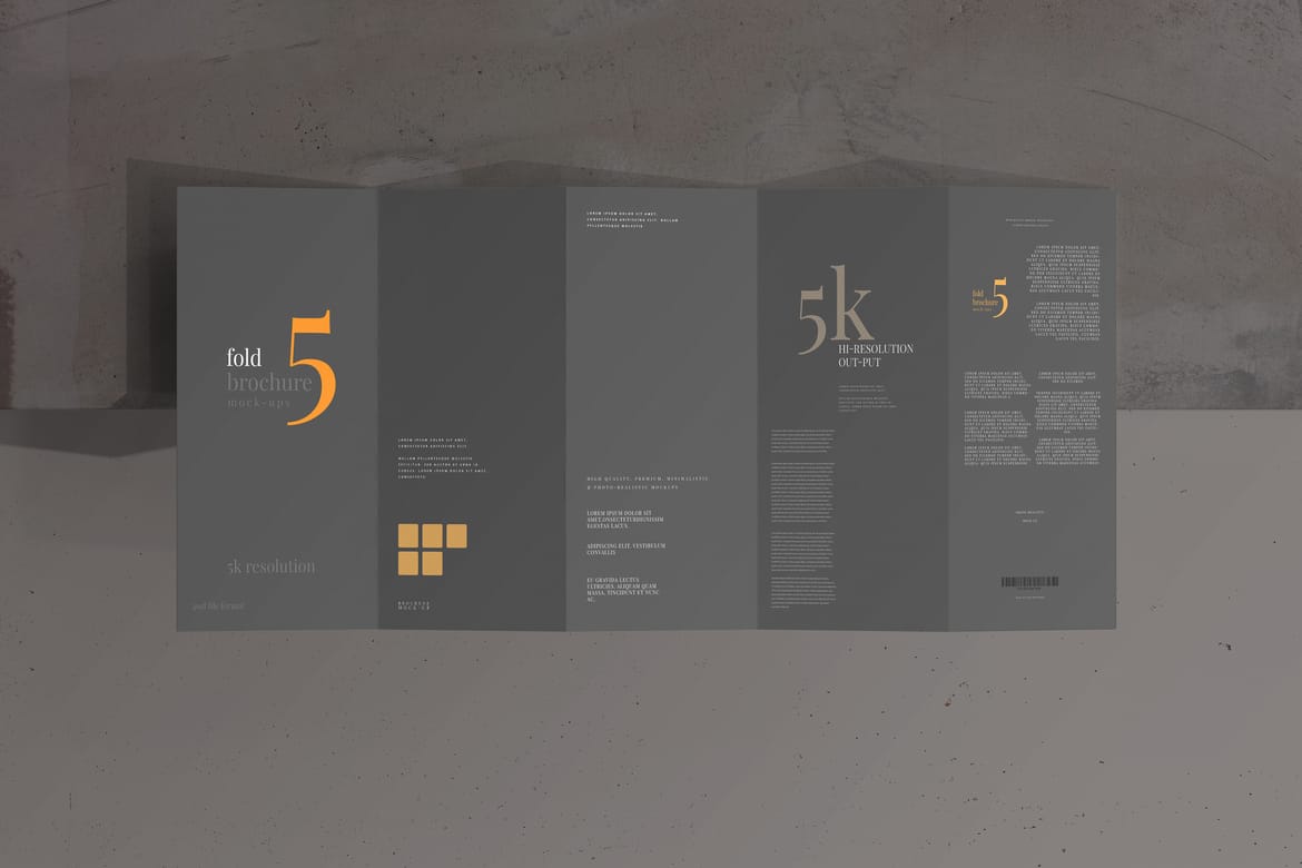 Five Fold DL Brochure Mockups