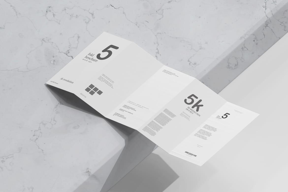 Five Fold DL Brochure Mockups