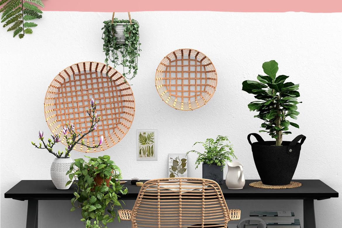 Daenty Botanical Scene Creator