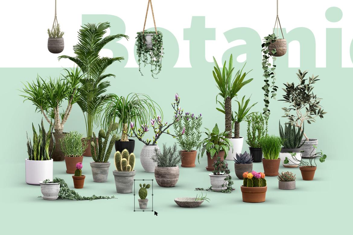Daenty Botanical Scene Creator
