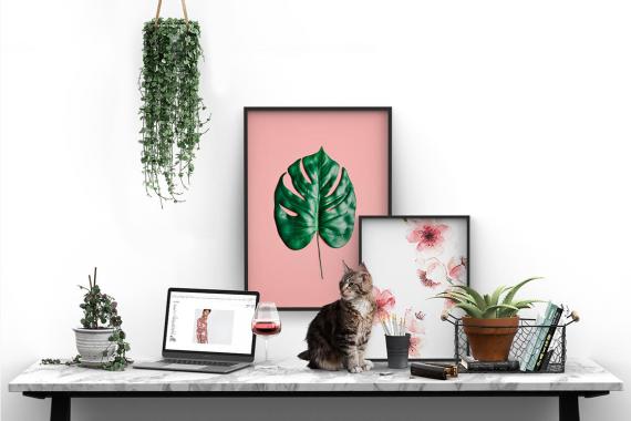 Daenty Botanical Scene Creator