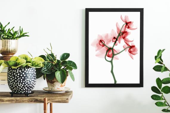 Artwork Frame Mockup Kit Vol. 1