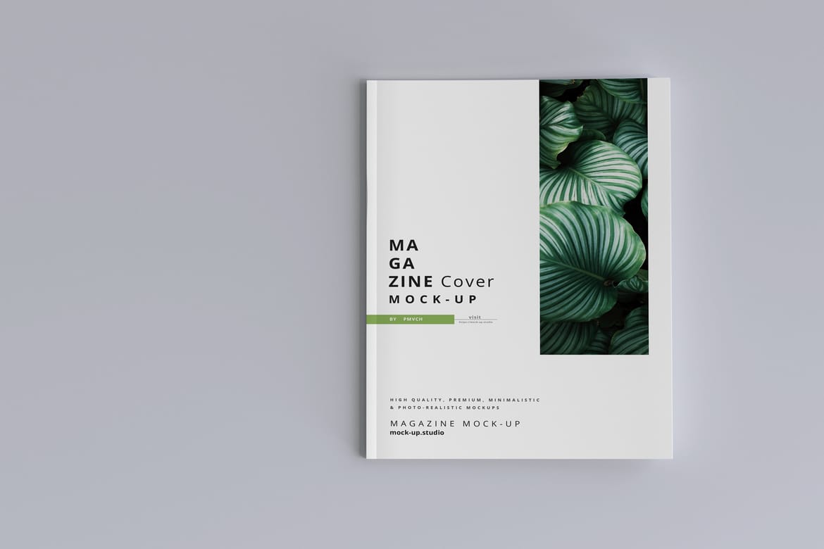 Magazine Mock-ups
