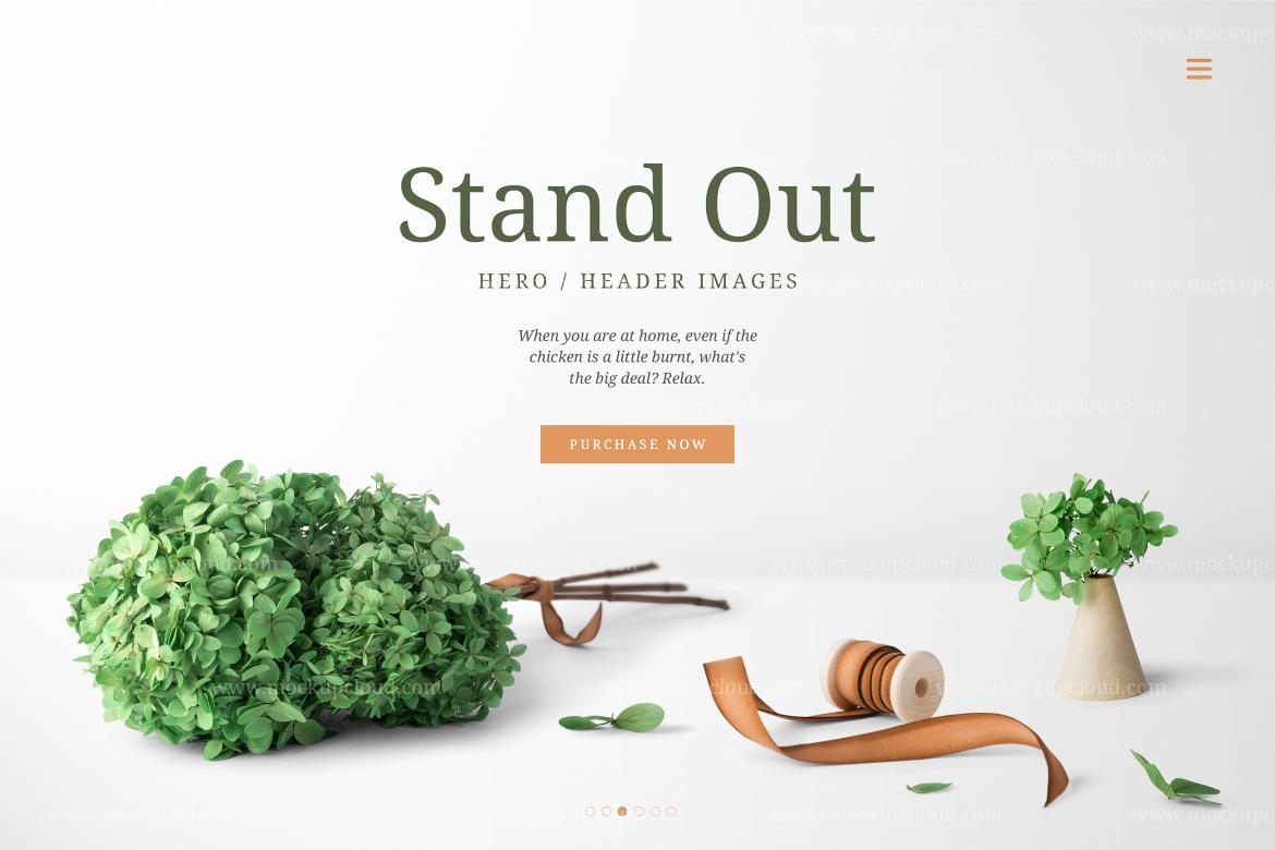 Home Decor Front View Mockup Scene 04