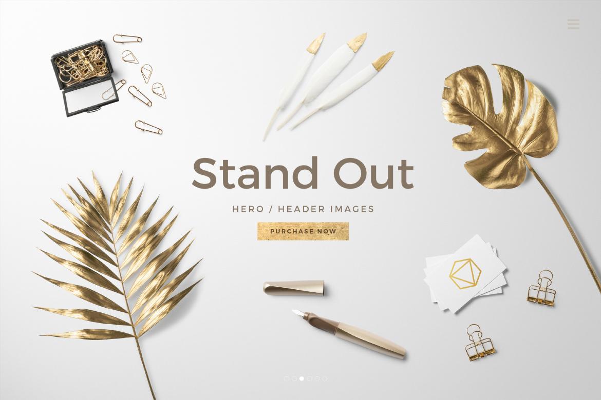Painted plants Floral Header Top View Mockup Scene 01