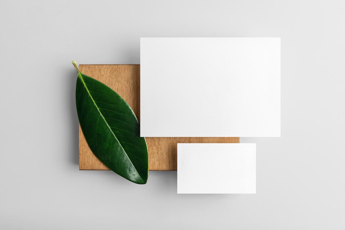 Flora Branding Stationery Mockup Scene 06