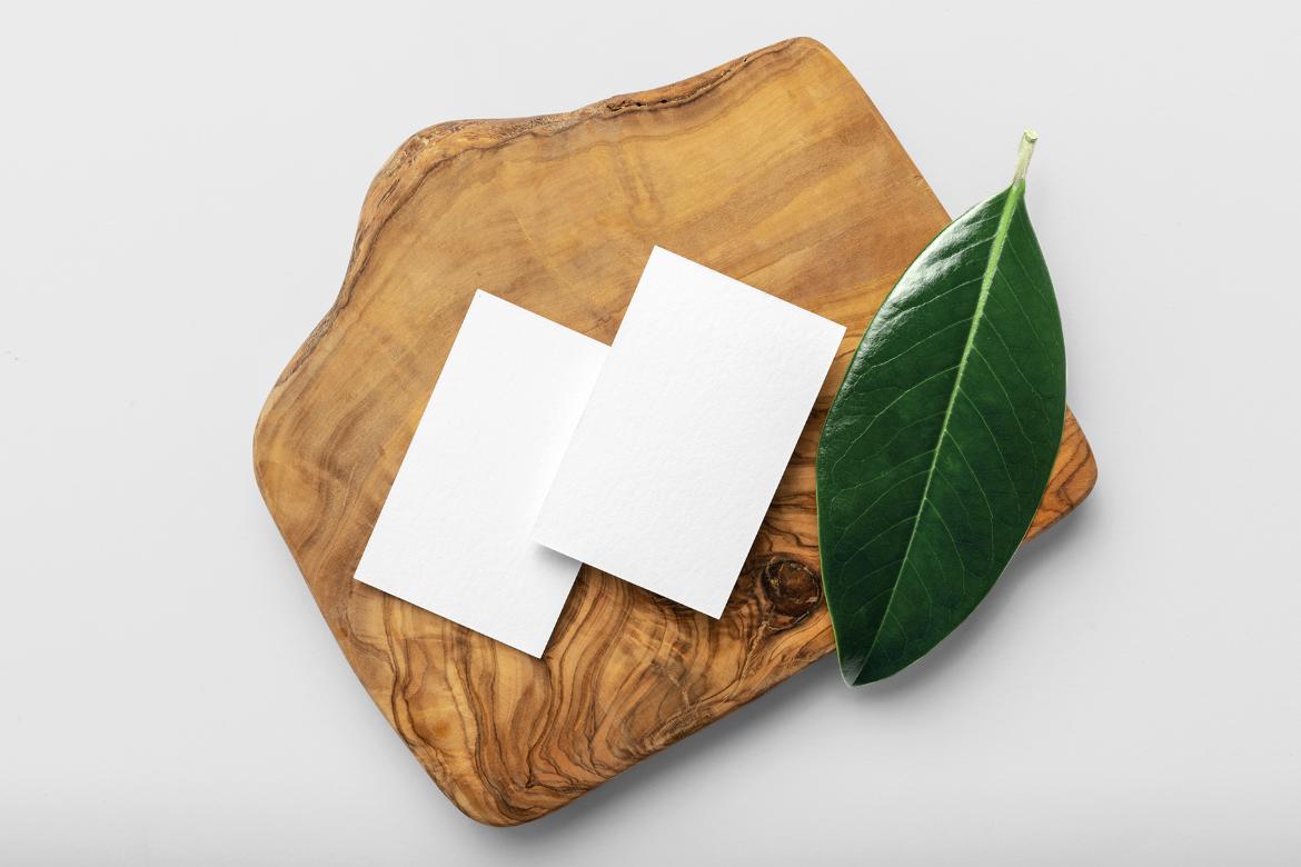 Flora Business Cards Mockup Scene 13