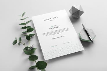 Hexamed Letterhead A4 Mockup Scene 07
