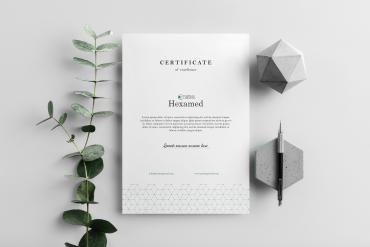 Hexamed Letterhead A4 Mockup Scene 08