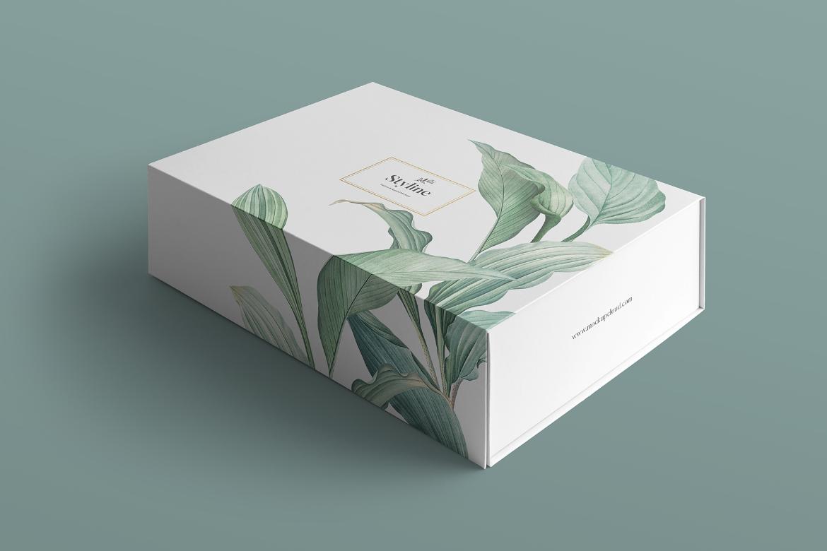 Magnetic Packaging Box Mockup Scene 14