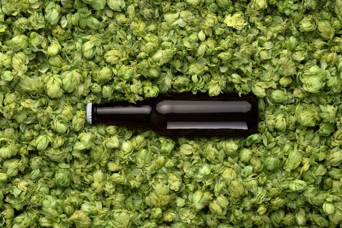 Craft Beer Bottle Hops Background Mockup Scene 42