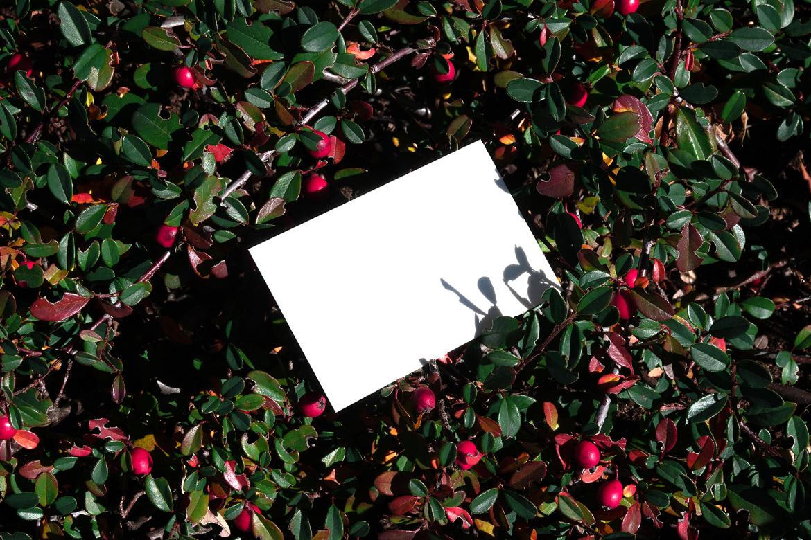 Business Card Branding Mockup Scene Raw-02-11