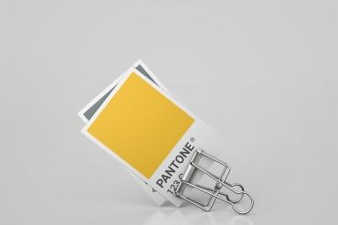 Pantone Card Mock-up