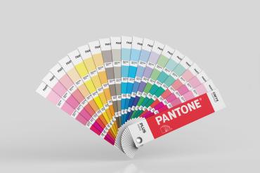 Pantone Book Mock up