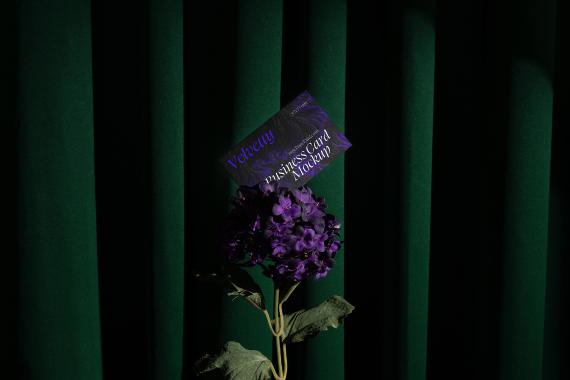 Velvetty Branding Mockups