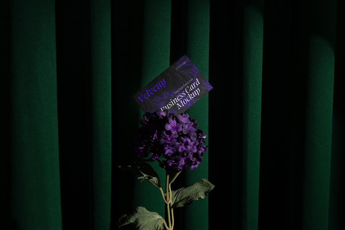 Business Card Mockup Scene 07 / Velvetty Series
