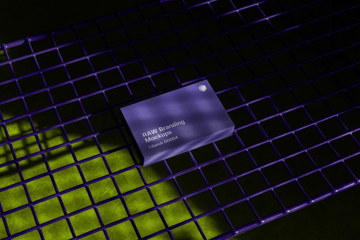 Raw Branding Mockups / Batch 00004
