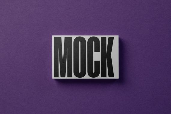 Branding Mockup Bundle 'Purp' - 6 Stationery Mockups