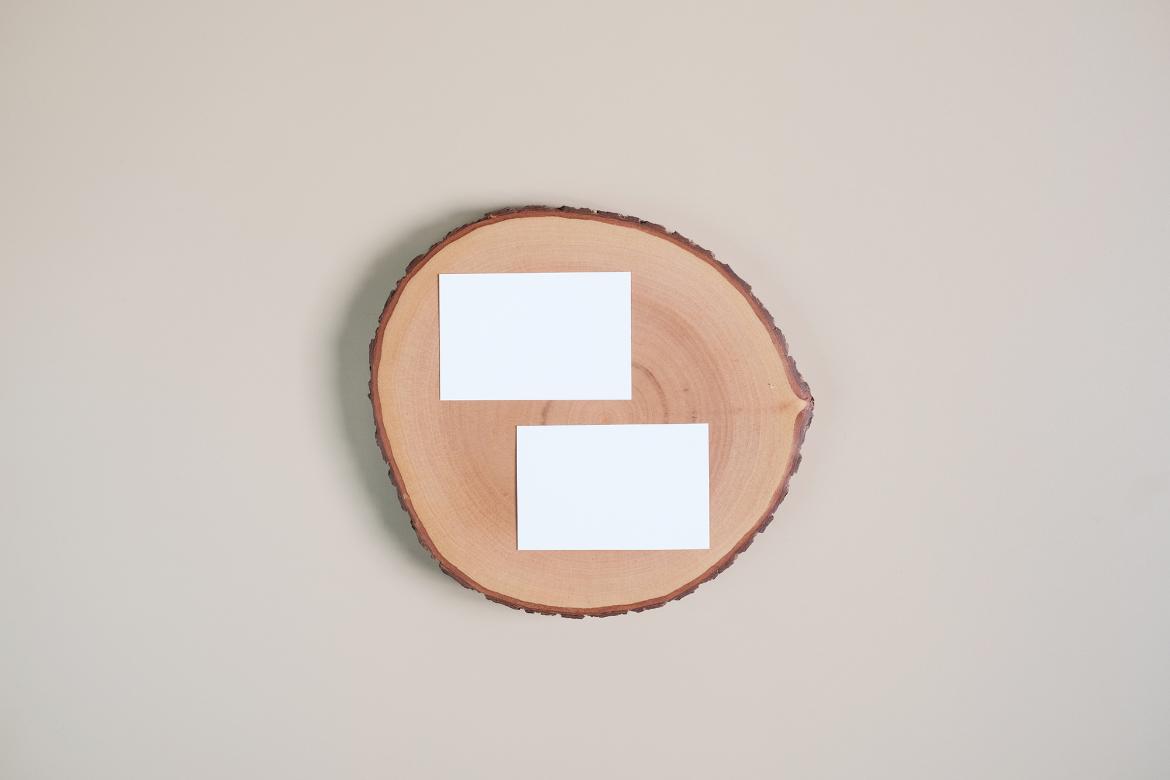 Business Card Photo Mockups #03