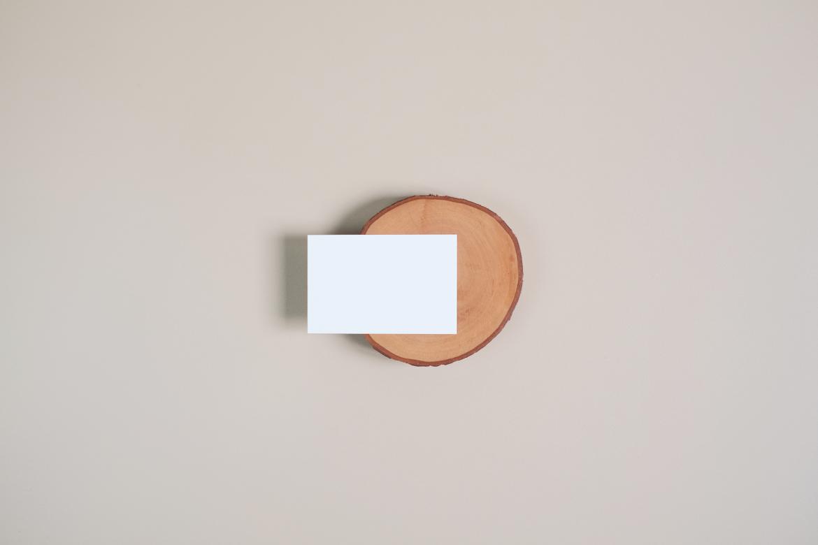 Business Card Photo Mockups #02